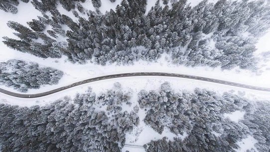 Bird eye’s view!, by Kimon Maritz